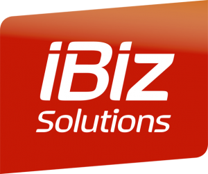 ibiz-provide-server